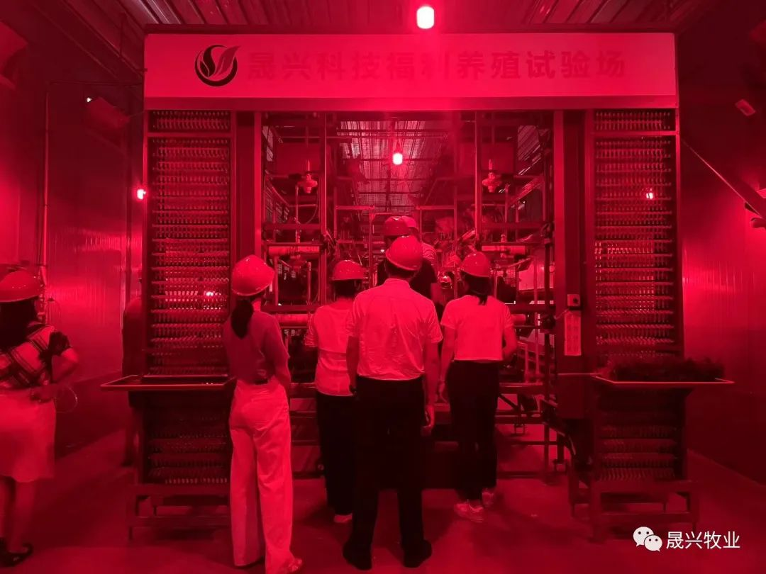 養(yǎng)雞設備